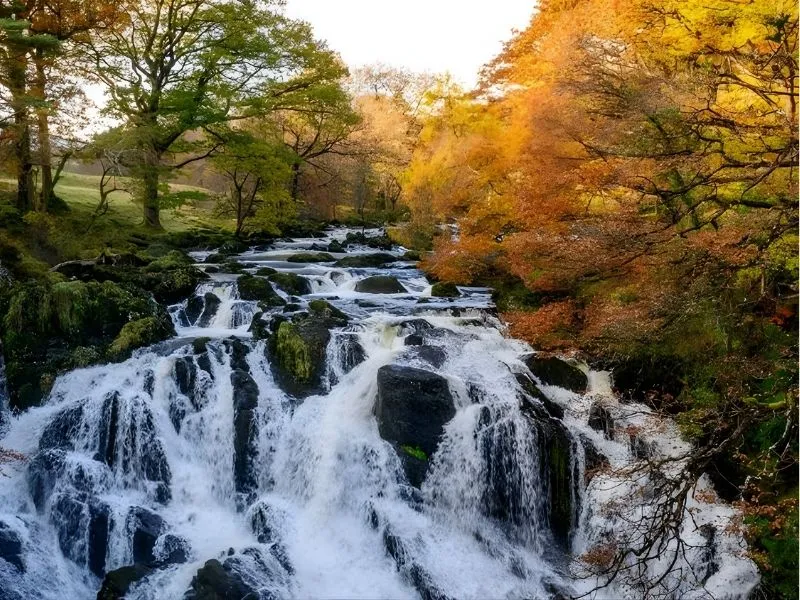 Thác nước Swallow Falls Snowdonia 