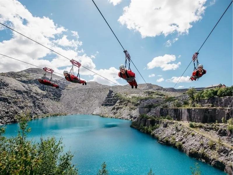 Trải nghiệm zipline tại Zip World