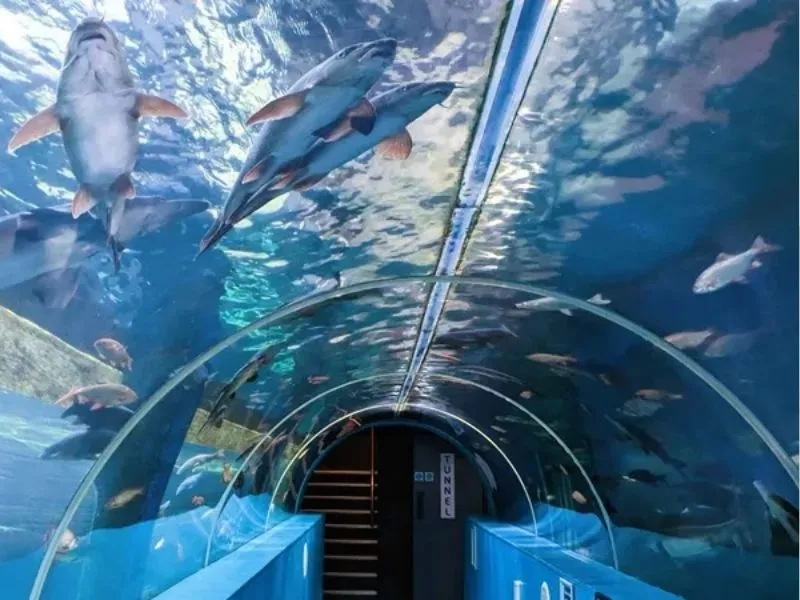 Thủy cung Windermere