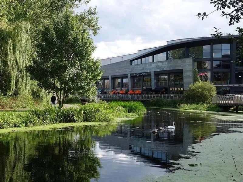 Di chuyển đến Chelmsford 