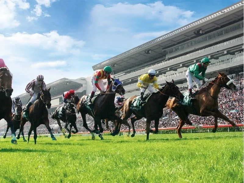 Trường đua ngựa Chelmsford