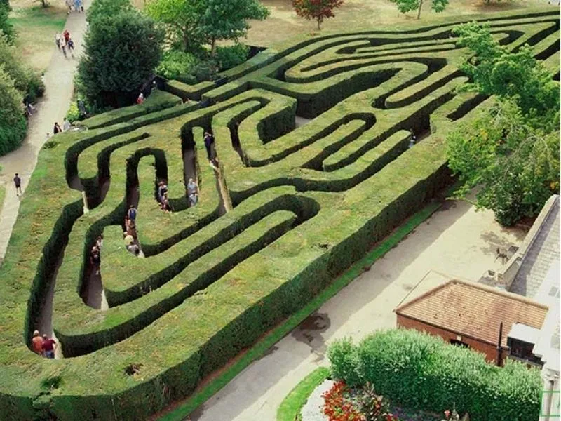 Mê cung cổ xưa – Biểu tượng bí ẩn của Hampton Court