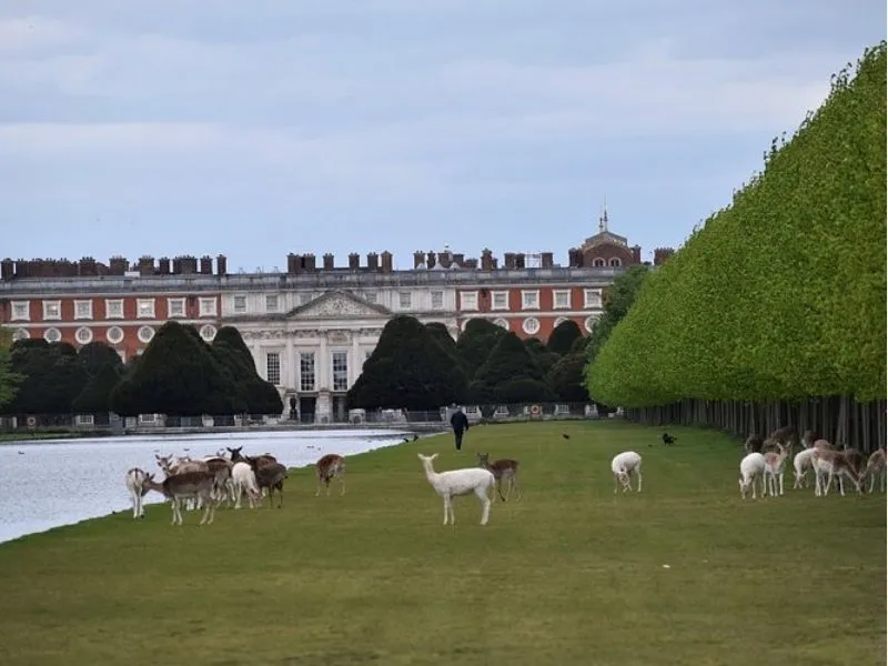 Home Park – Không gian thiên nhiên hoàng gia