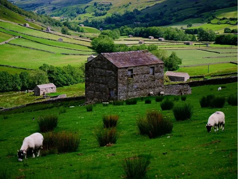 Ngắm cảnh quan của Swaledale