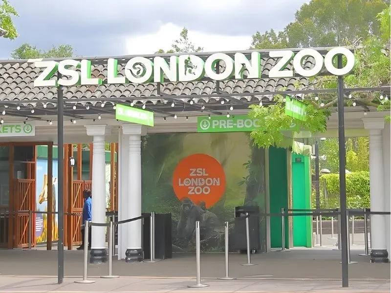 Sở thú London - Thiên đường hoang dã ngay giữa thủ đô