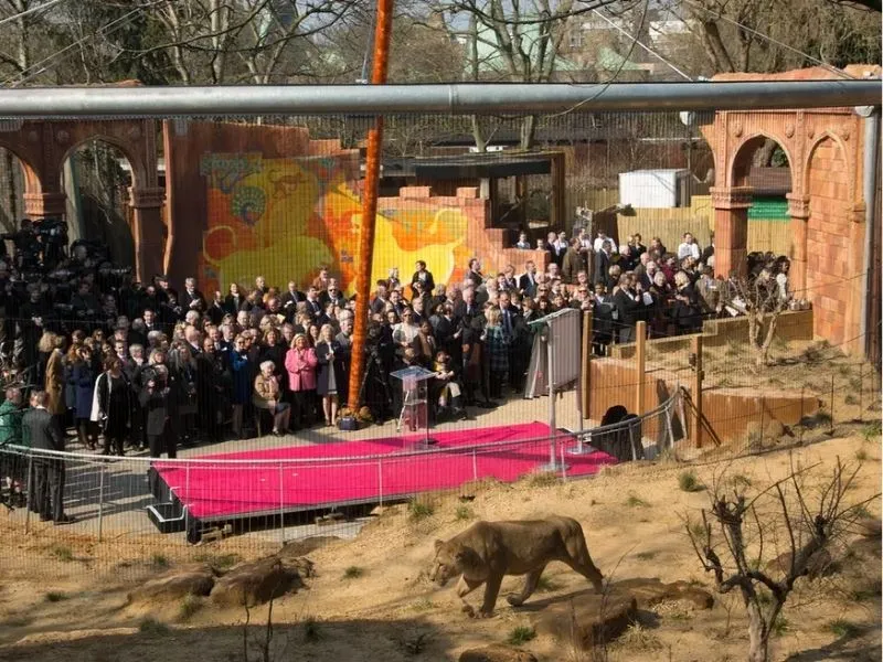 Land of the Lions sở thú London