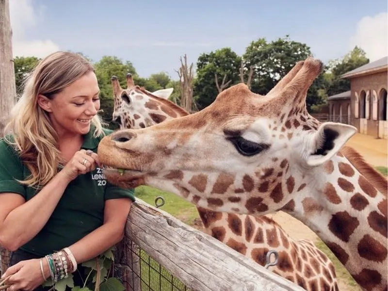 Trò chuyện và cho động vật ăn sở thú London