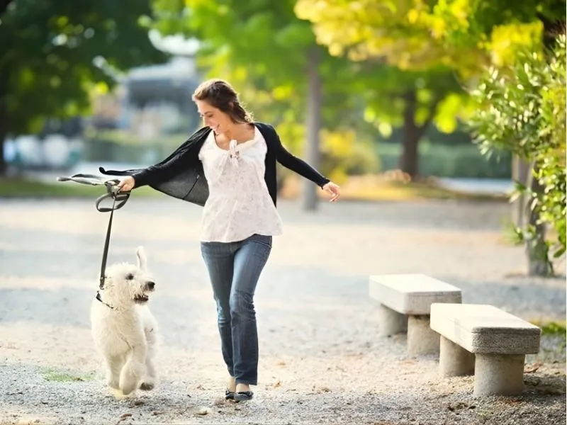 Không ngủ ngay khi vừa đến nơi