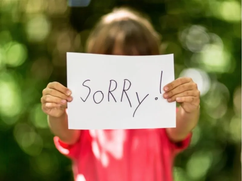 Văn hóa xin lỗi