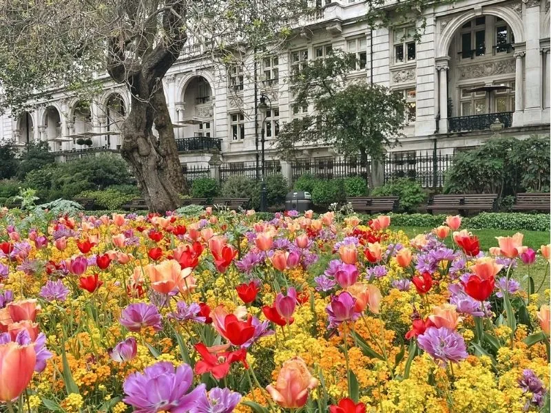 Du lịch Anh quốc mùa nào đẹp nhất