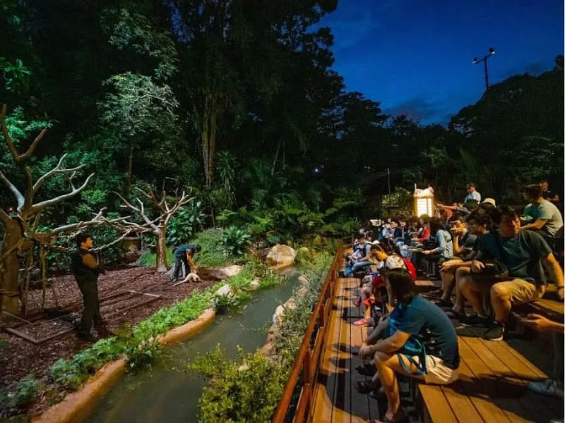 Vườn thú Night Safari Singapore