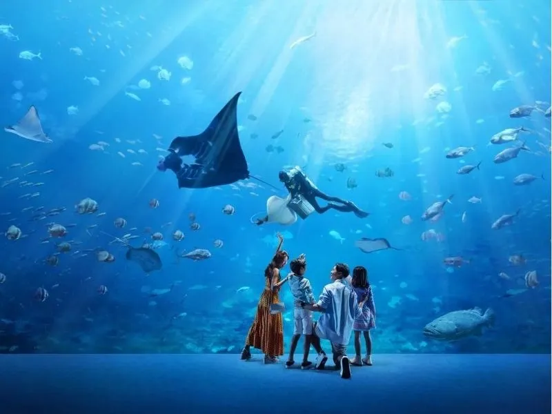 Thủy cung S.E.A Aquarium