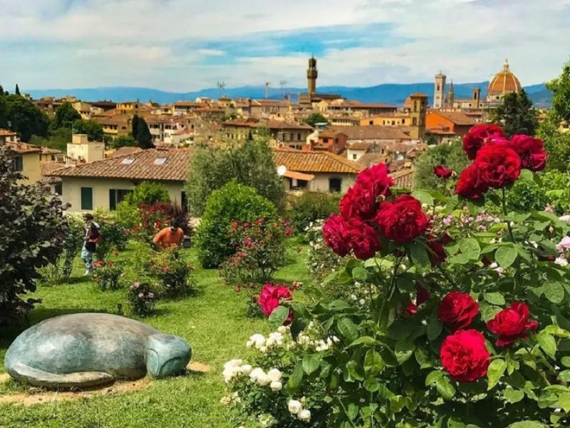 Vườn hoa Diên Vĩ