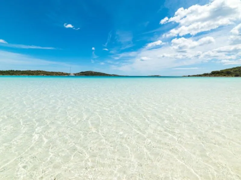 Cala Brandinchi bãi biển nổi tiếng với nước biển trong vắt 