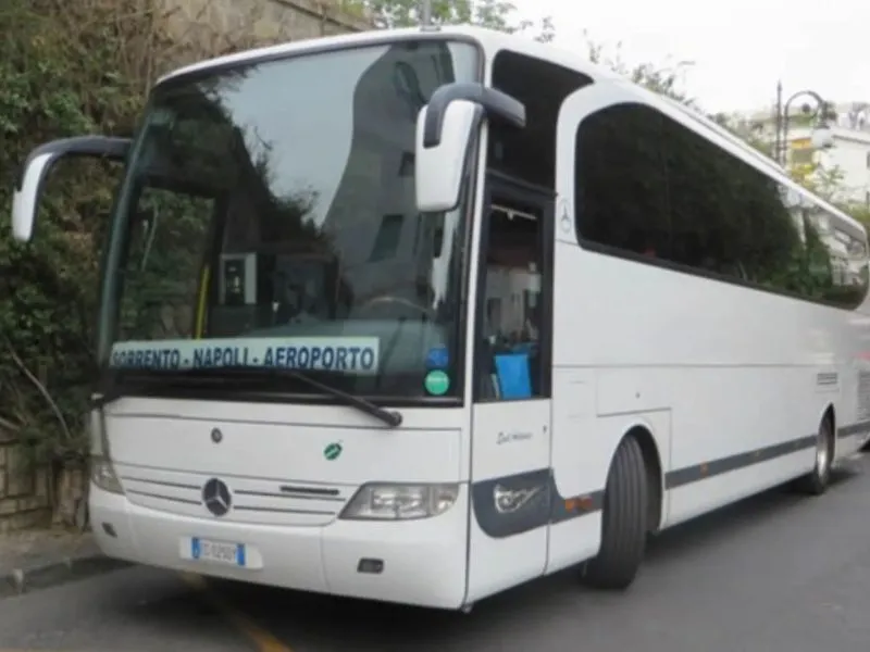 Xe buýt & Xe buýt tham quan ở Naples 