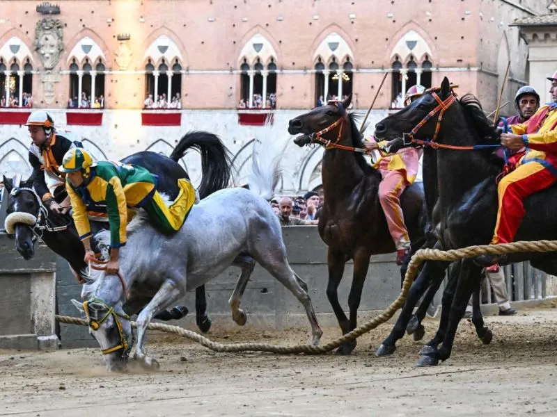 Palio di Siena - Cuộc đua ngựa truyền thống