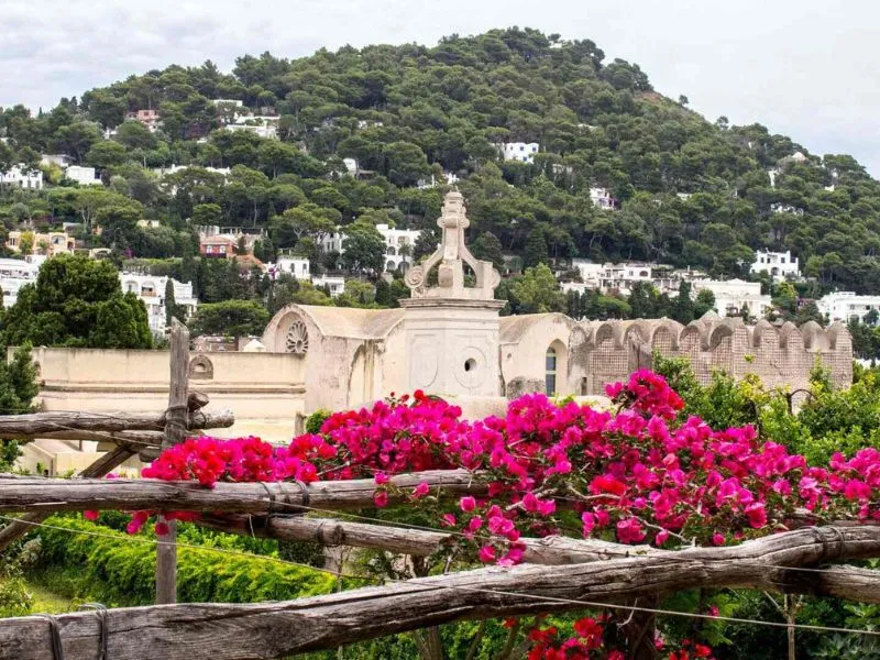 Vườn Agustus (Giardini di Augusto)