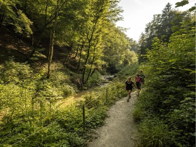 Du lịch Fribourg và những cung đường trekking thú vị