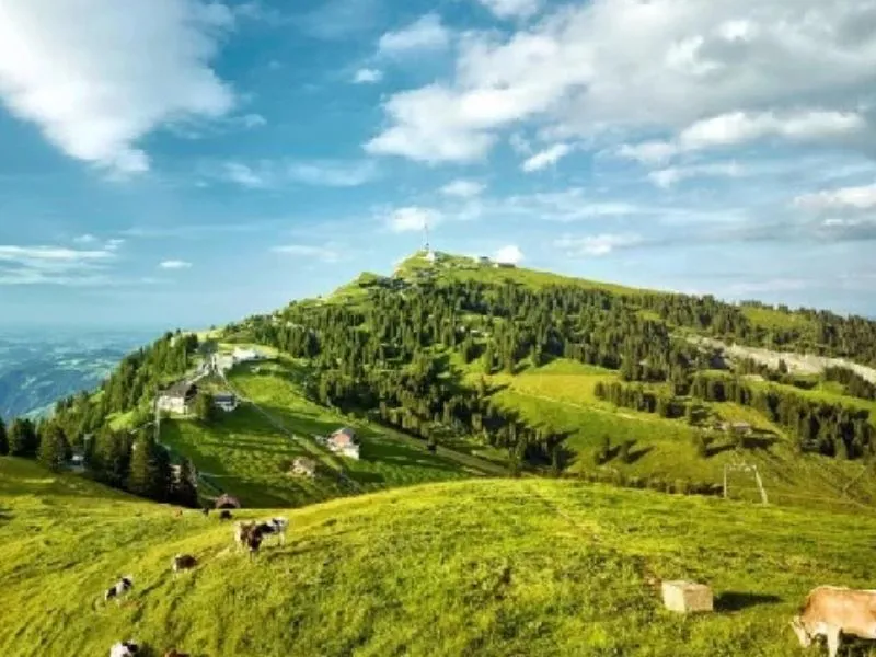 Khám phá núi Rigi - Ôm trọn góc nhìn 360 độ dãy Alps đại ngàn