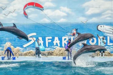 Tour Bangkok - Pattaya chương trình Safari 5 ngày 4 đêm bay Vietjet Air