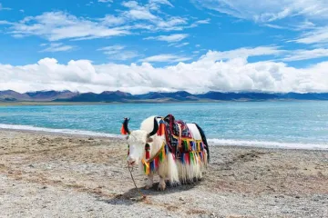 Tour du lịch Trung Quốc: Lệ Giang - Shangrila 5 ngày 4 đêm