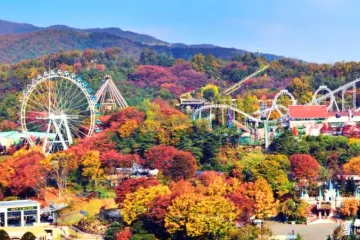 Tour du lịch Hàn Quốc mùa thu: Seoul - Nami - Everland