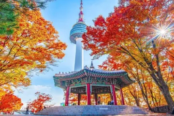 Tour Hàn Quốc Seoul Nami 5 ngày 4 đêm