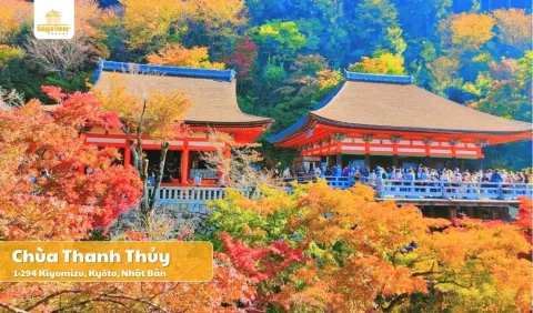 Tour Nhật Bản Cung Đường Vàng 5 ngày 5 đêm - Vietnam Airlines