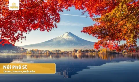 Tour Nhật Bản Tokyo - Fuji Mùa Thu 5 Ngày 4 Đêm
