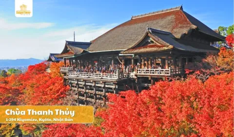Tour Nhật Bản Cung Đường Vàng Mùa Thu 5 Ngày 5 Đêm Bay Vietnam Airlines