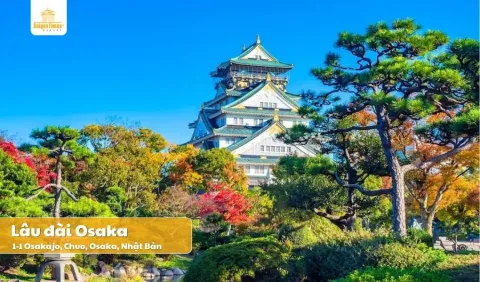 [Khởi Hành từ Hà Nội] Tour Nhật Bản Cung Đường Vàng Mùa Hè 5 Ngày 5 Đêm (bay hãng Vietjet Air)