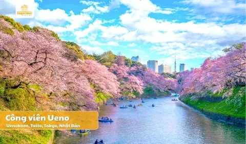 Tour Nhật Bản HOA ANH ĐÀO 2026: TOKYO – PHÚ SĨ – YAMANASHI – NARITA 5N4Đ (bay hãng Vietjet Air)