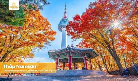 Tour Hàn Quốc Seoul Nami 5 ngày 4 đêm