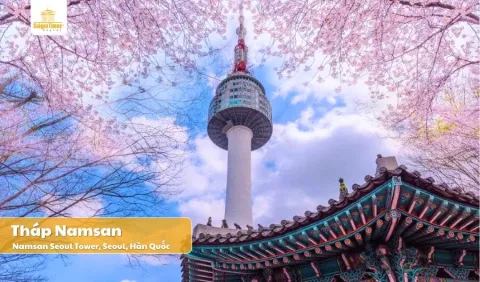 Tour Hàn Quốc mùa Hoa Anh Đào trọn gói giá rẻ 2025