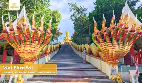 Tour Thái Lan mùa hè: Bangkok Pattaya 5N4D bay Vietjet và AirAsia