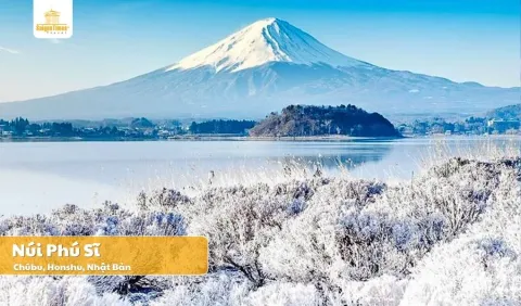 Tour du lịch Nhật Bản Tokyo - Fuji Mùa Đông 5N4Đ