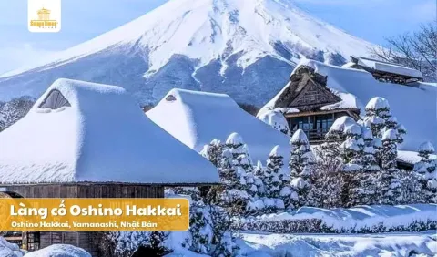 Tour du lịch Nhật Bản Tokyo - Fuji Mùa Đông 5N4Đ