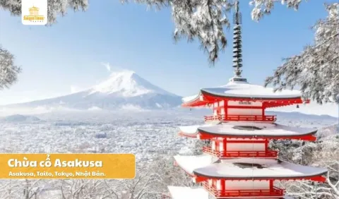 [Khởi hành từ Hà Nội] Tour Nhật Bản Mùa Đông: Cung Đường Vàng 5 Ngày 5 Đêm