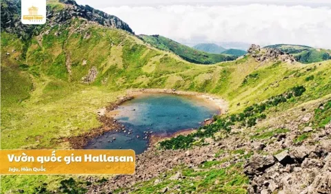 Tour du lịch Hàn Quốc đảo Jeju 5 Ngày 4 Đêm giá tốt