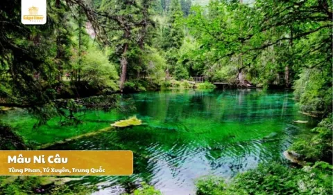 Tour Trung Hoa Thành Đô - Cửu Trại Câu - Lạc Sơn (bay Sichuan AirLine)