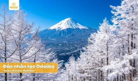 Tour Nhật Bản Tokyo Fuji 5 ngày 4 đêm