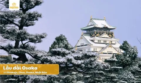 Tour Nhật Bản Cung Đường Vàng 5 Ngày 5 Đêm từ Tp HCM bay Vietjet Air