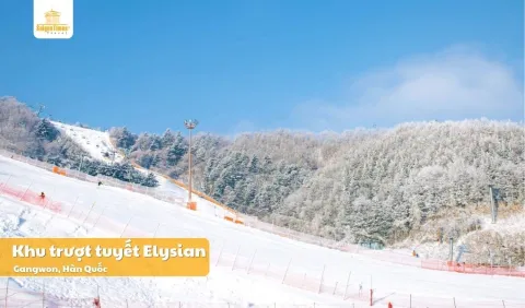 Tour Hàn Quốc Seoul Nami 5 ngày 4 đêm