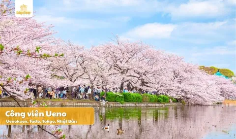 Tour Nhật Bản Tokyo Fuji 5 ngày 4 đêm