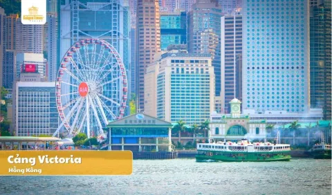 [Tour Tết 2026] Tour du lịch Hồng Kông 4 ngày 3 đêm - Bay Cathay Pacific