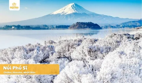 [Tour Tết 2026] Tour Nhật Bản Narita – Tokyo – Shirakawa-go – Nagoya 5N5Đ  - Bay Vietnam Airlines