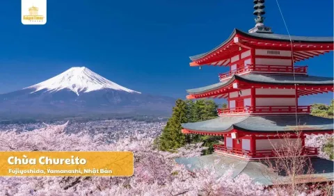 Tour Nhật Bản Hoa Anh Đào 2026: Osaka – Kyoto – Yamanashi – Tokyo 5N5Đ - Bay Vietjet Air