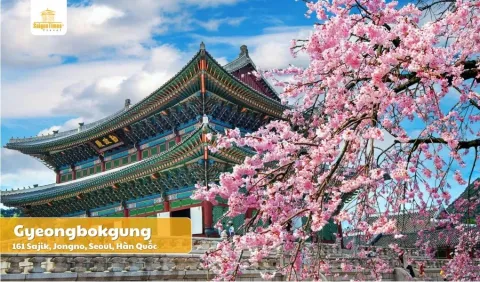 Tour Hàn Quốc Mùa Xuân: Seoul - Busan - Hoa Anh Đào kép Công Viên Dân Chủ - Gyeongju 5N5Đ