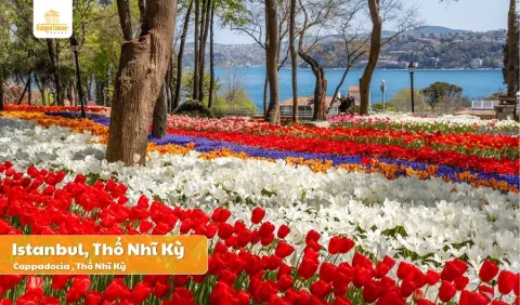 Tour Thổ Nhĩ Kỳ: Istanbul - Kusadasi - Pamukkale - Cappadocia 9N8D