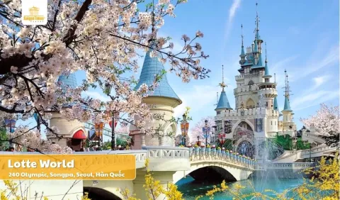 Tour Hàn Quốc Seoul Nami 5 ngày 4 đêm